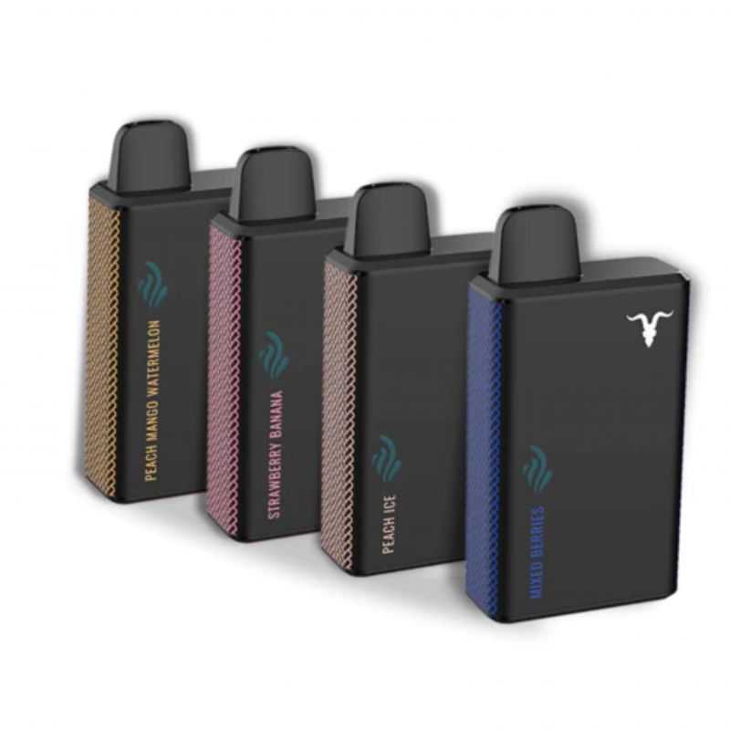 Electronic cigarette Ignite V4000