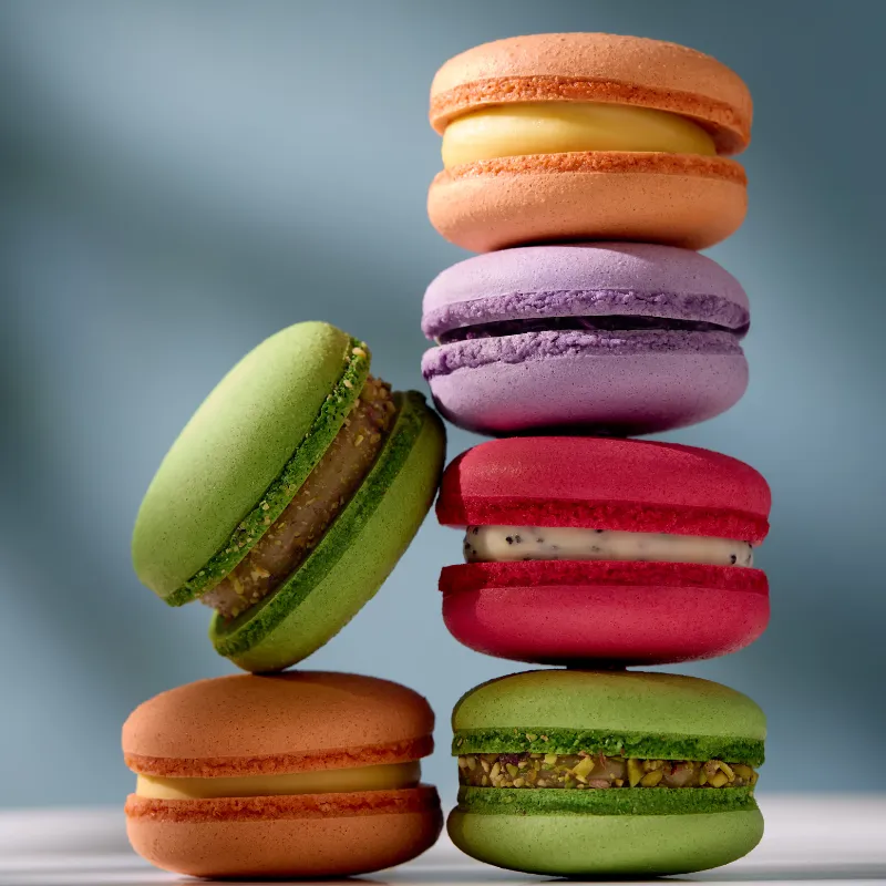 Macaroon Gurmenia 1pcs