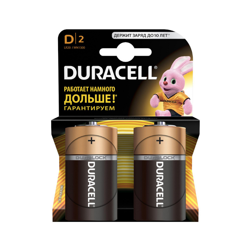 Batteries Duracell D 2pcs